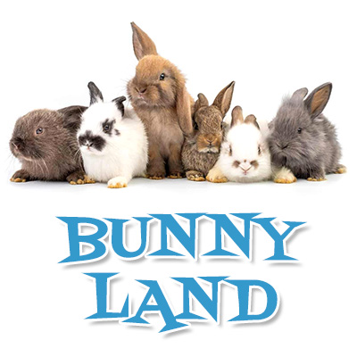 BUNNYLAND