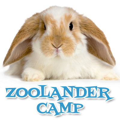 ZOOLANDER CAMP