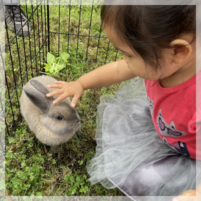 zoo